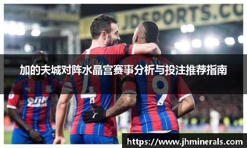 加的夫城对阵水晶宫赛事分析与投注推荐指南